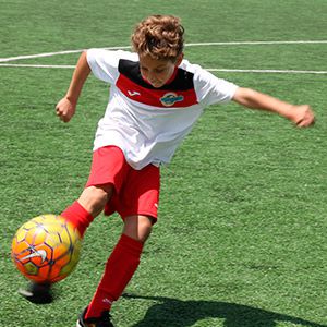 GESTIÓN DE CLUBES Y ESCUELAS